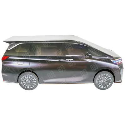Lexus LM-黑－照片 2