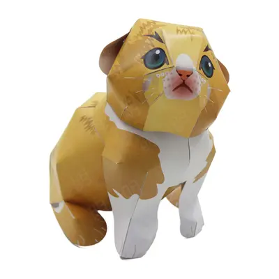 橘貓
